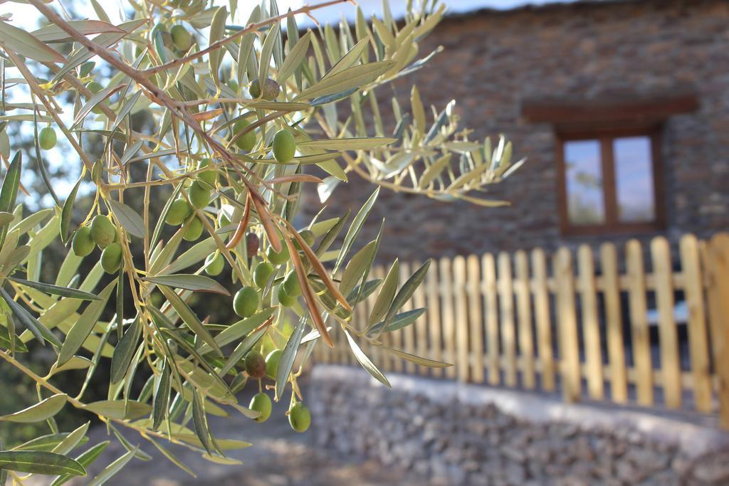 Apartamento Dreams Alpujarra Pampaneira Exterior foto